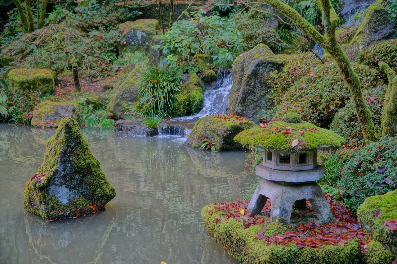 Japanese, Sodas, Kritimas, Portlandas, Oregonas, Gamta, Meditacija, Asian, Parko Akmuo, Kraštovaizdis