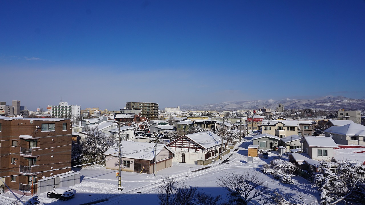 Japanese, Sniego Peizažai, Žiema, Nemokamos Nuotraukos,  Nemokama Licenzija