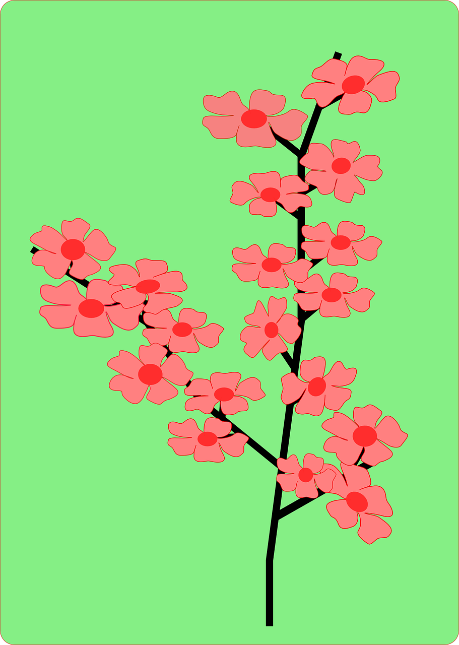 Japanese, Vyšnia, Žiedas, Prunus, Serrulata, Žalias, Raudona, Rožinis, Filialas, Gėlė