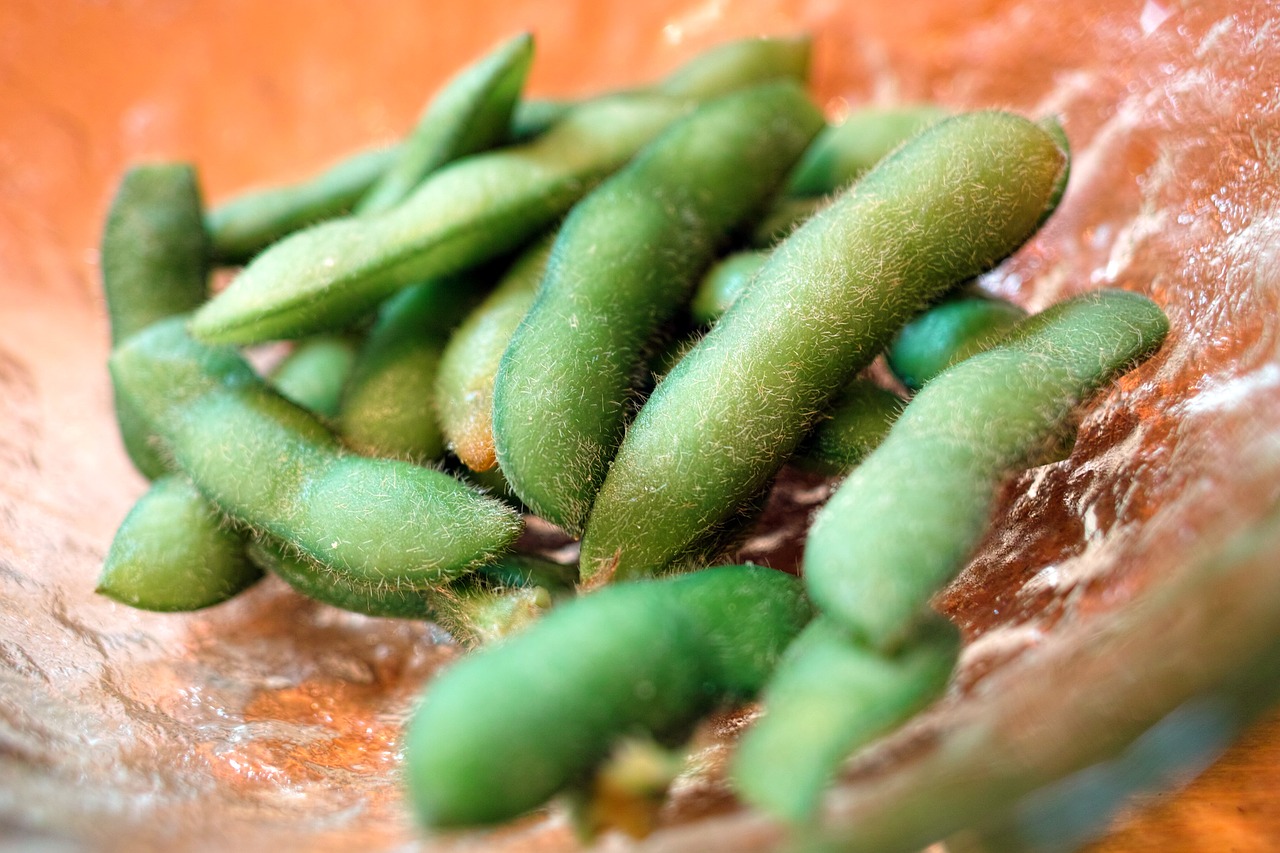 Japonų Maistas, Restoranas, Tavern, Virtuvė, Maistas, Mityba, Edamame, Nemokamos Nuotraukos,  Nemokama Licenzija