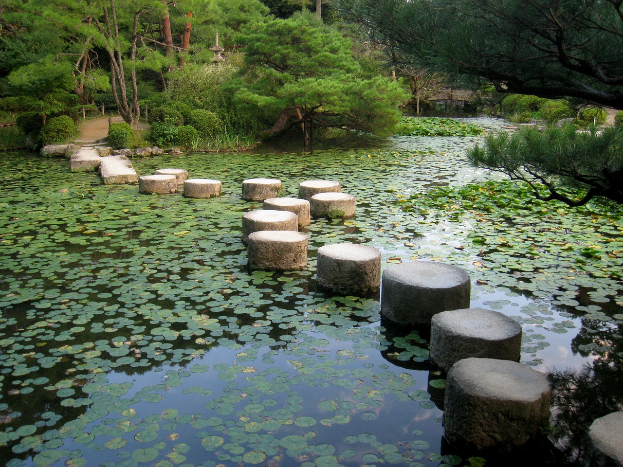 Japoniškas Sodas, Kyoto, Japonija, Koi Tvenkinys, Heian-Jingu Shinen, Medžiai, Tvenkinis Karpis, Akmenys, Kraštovaizdis, Gamta