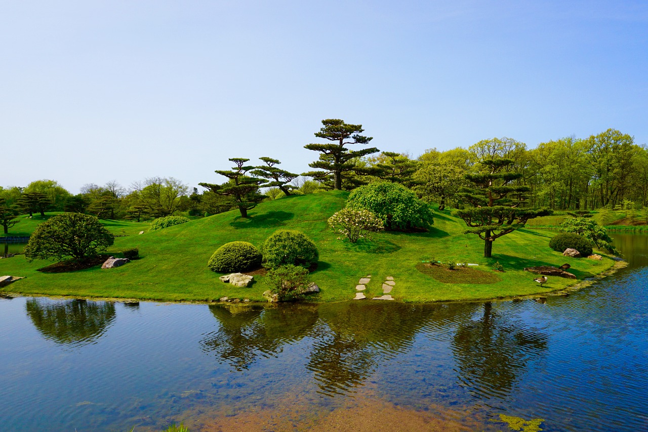 Japoniškas Sodas, Medžiai, Ežeras, Kraštovaizdis, Laimė, Taikus, Botanikos Sodas, Ramus, Žalias, Gamta