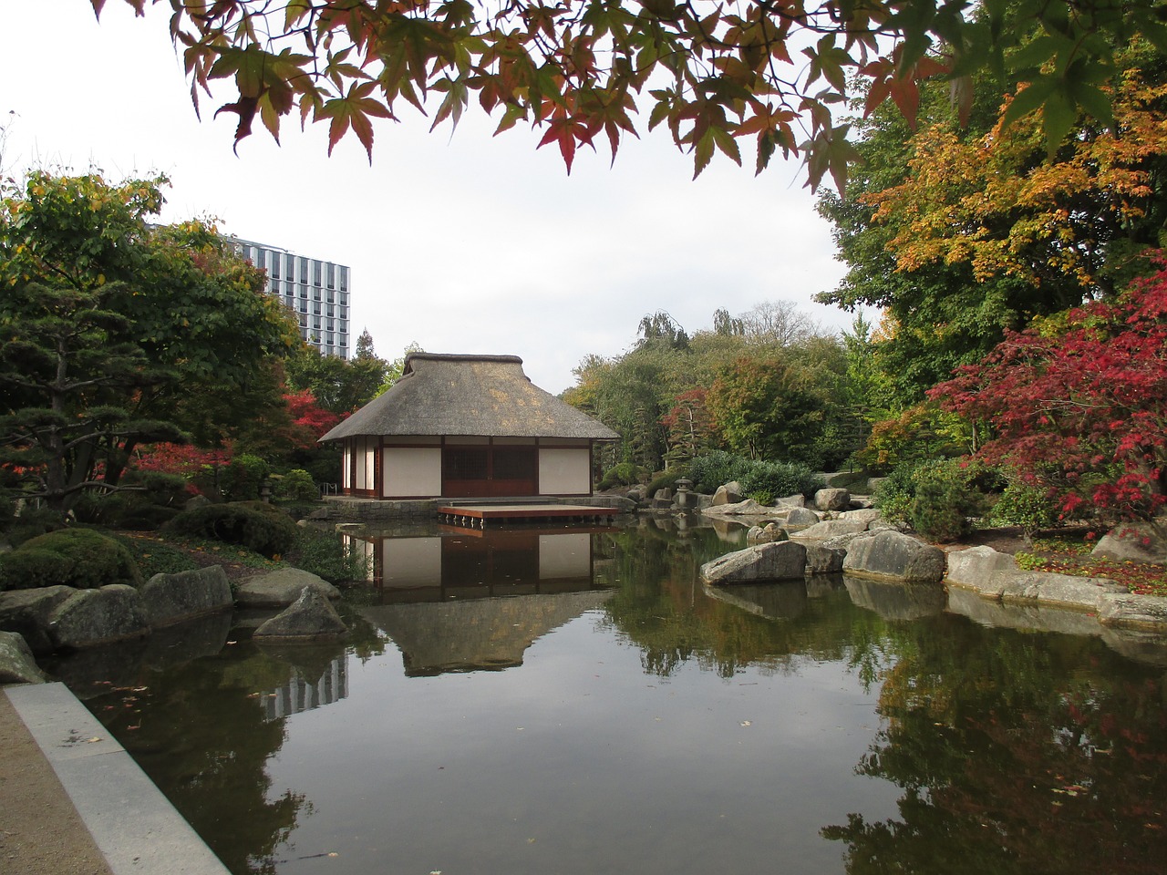 Japanese Teahouse,  Hamburge,  Suplanuotos Ir Klijuoti,  Veidrodis,  Parkas,  Klevas,  Azaleja, Nemokamos Nuotraukos,  Nemokama Licenzija