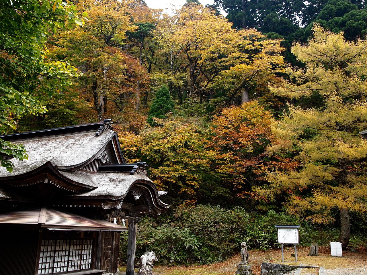 Japonų Mediena, Tottori, Kalnai, Nemokamos Nuotraukos,  Nemokama Licenzija