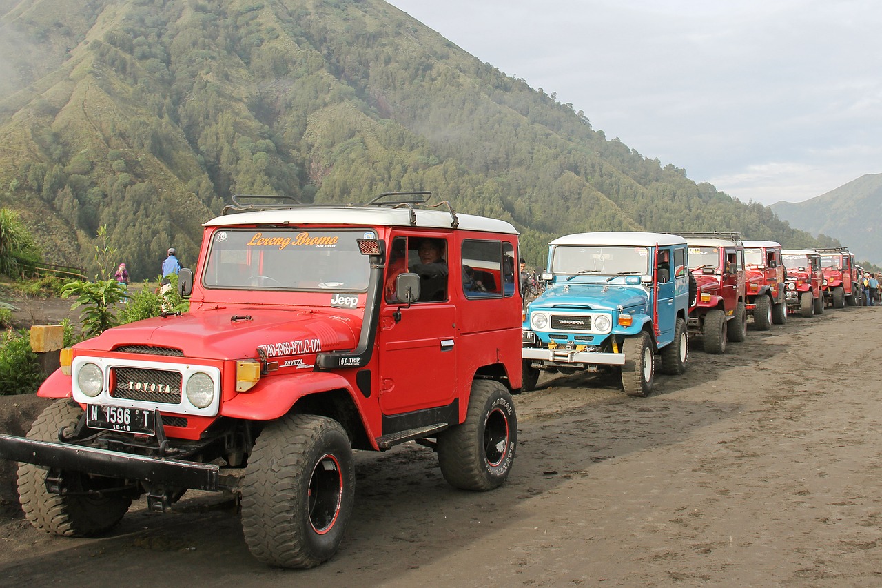 Jeep,  Važiuoti,  Laikiklis Bromas,  Indonezija,  Nuotykių,  Įdomu,  Automobilių,  Transporto Priemonės,  Vairuoti,  Greitai