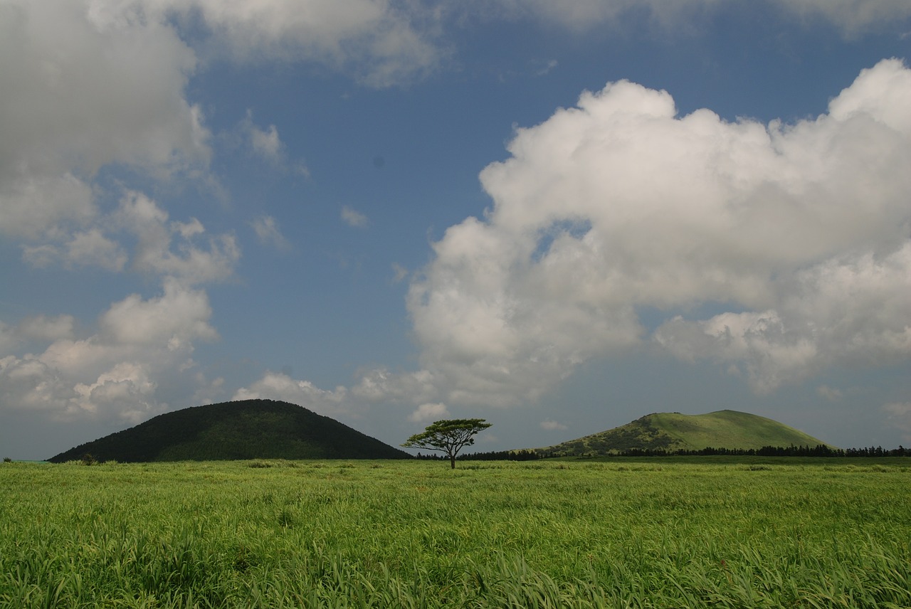 Jeju Sala, Ascension, Pieva, Nemokamos Nuotraukos,  Nemokama Licenzija