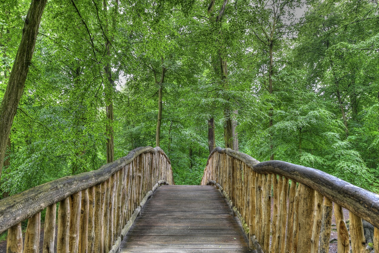 Jenisch Parkas, Hamburgas, Tiltas, Miškas, Mediena, Vokietija, Nemokamos Nuotraukos,  Nemokama Licenzija