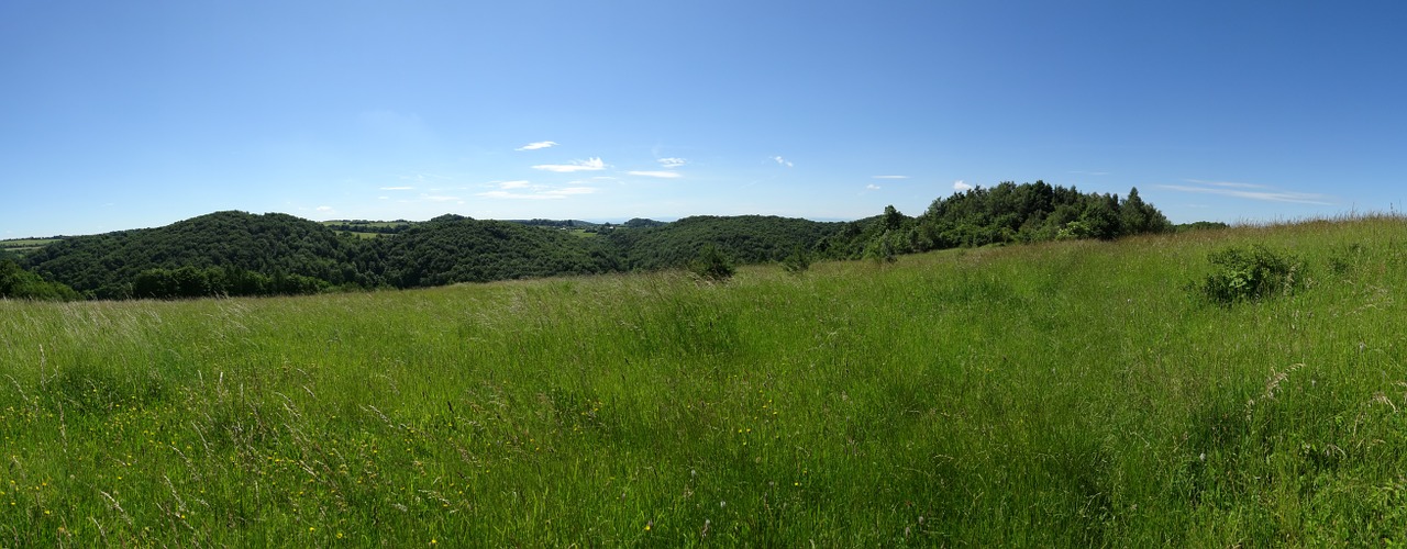 Jerzmanowice, Lenkija, Kraštovaizdis, Gamta, Panorama, Medis, Miškai, Nemokamos Nuotraukos,  Nemokama Licenzija