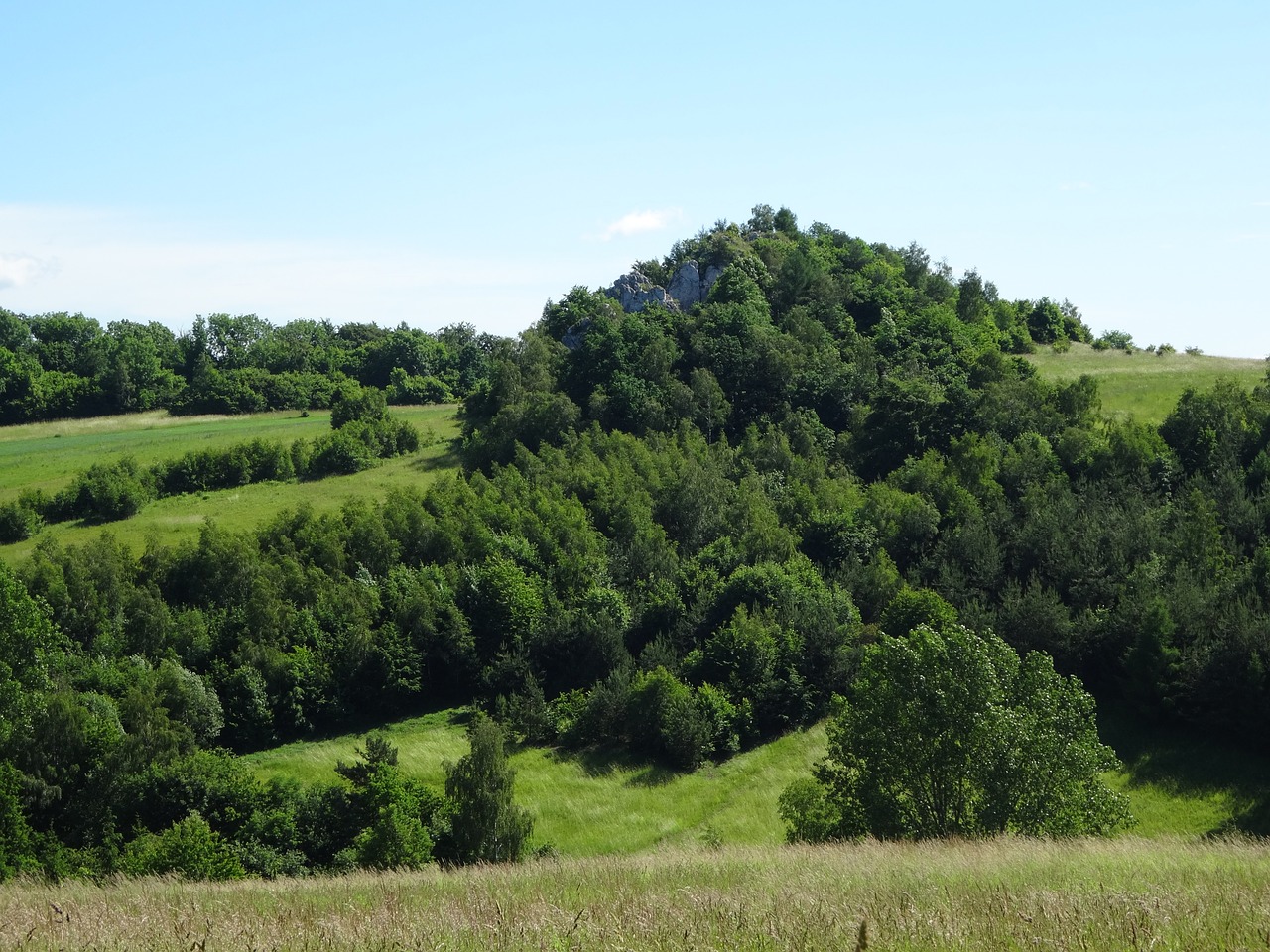 Jerzmanowice, Lenkija, Kraštovaizdis, Gamta, Rokas, Nemokamos Nuotraukos,  Nemokama Licenzija