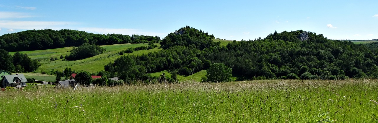 Jerzmanowice, Lenkija, Kraštovaizdis, Gamta, Turizmas, Žalias, Miškai, Nemokamos Nuotraukos,  Nemokama Licenzija