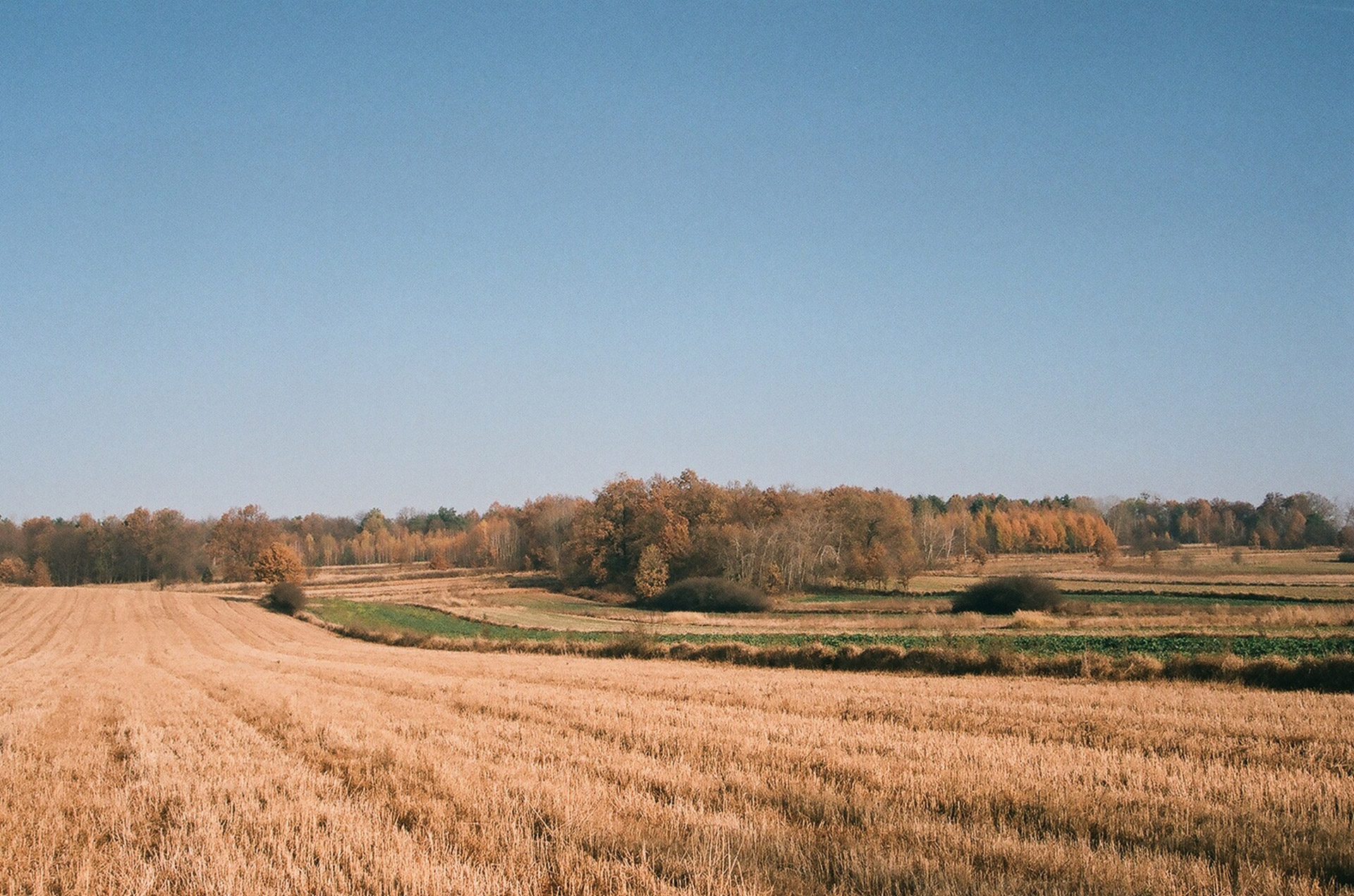 Ruduo,  Lapkritis,  Ruduo,  Lapkritis, Nemokamos Nuotraukos,  Nemokama Licenzija