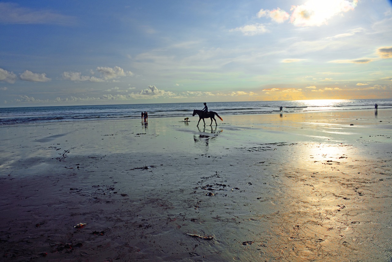 Jimbaran Paplūdimys, Jimbaran, Bali, Indonezija, Atoslūgis, Saulės Nustatymo Pradžia, Žirgais, Patrauklus Veidmatis, Saulėlydis, Papludimys