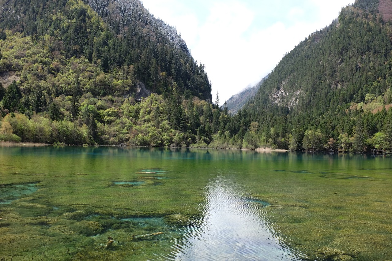 Jiuzhaigou, Ežeras, Sichuanas, Kinija, Kraštovaizdis, Nemokamos Nuotraukos,  Nemokama Licenzija