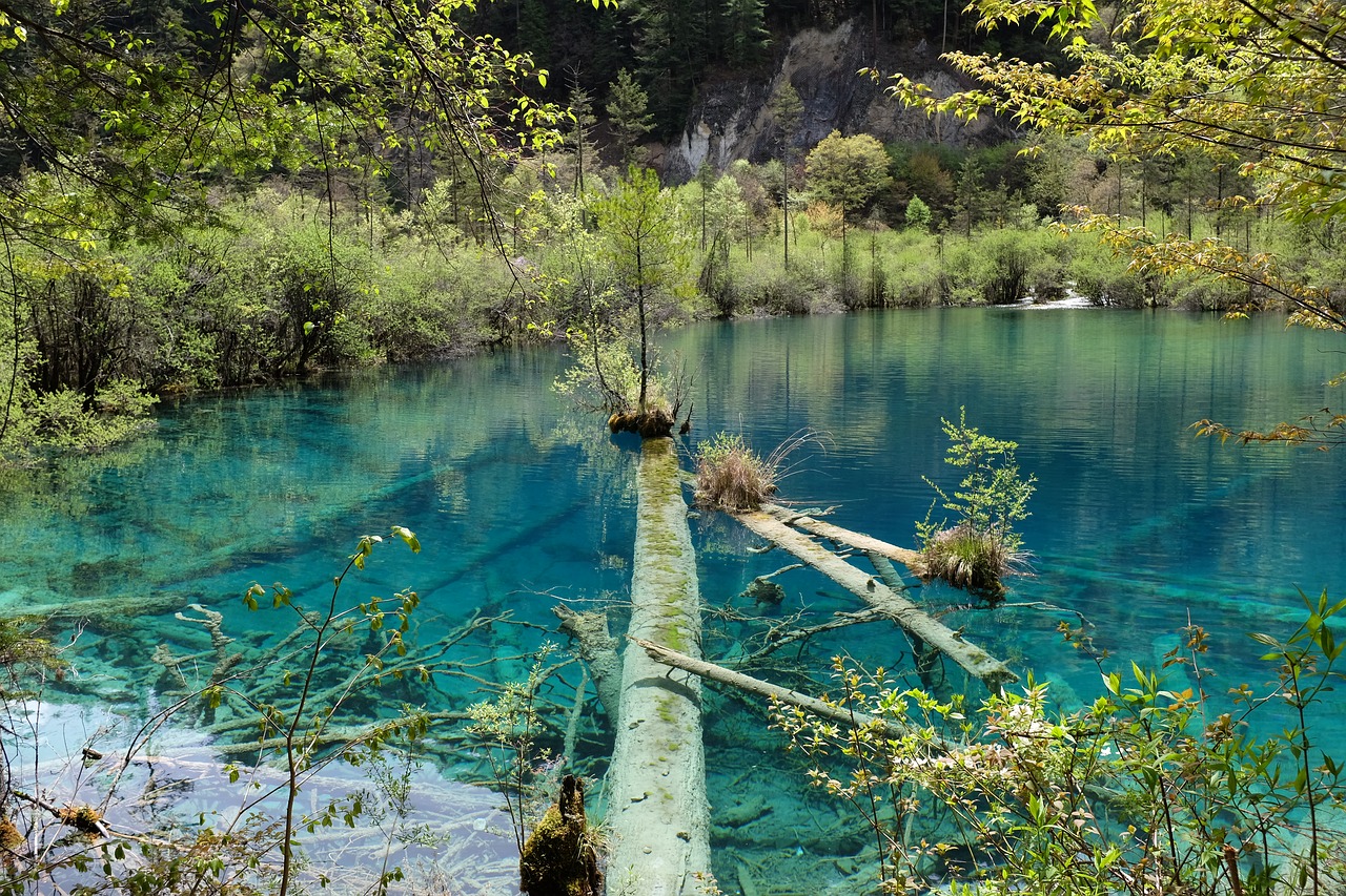 Jiuzhaigou, Ežeras, Sichuanas, Kinija, Kraštovaizdis, Nemokamos Nuotraukos,  Nemokama Licenzija