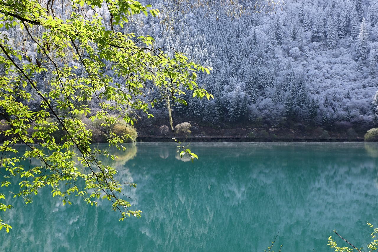 Jiuzhaigou, Ežeras, Sichuanas, Kinija, Kraštovaizdis, Nemokamos Nuotraukos,  Nemokama Licenzija