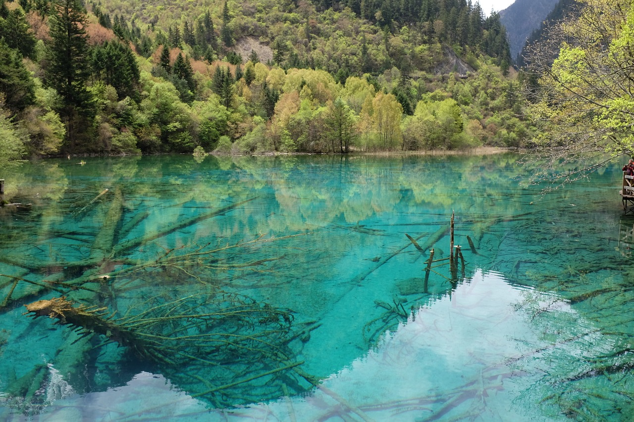 Jiuzhaigou, Ežeras, Sichuanas, Kinija, Kraštovaizdis, Nemokamos Nuotraukos,  Nemokama Licenzija