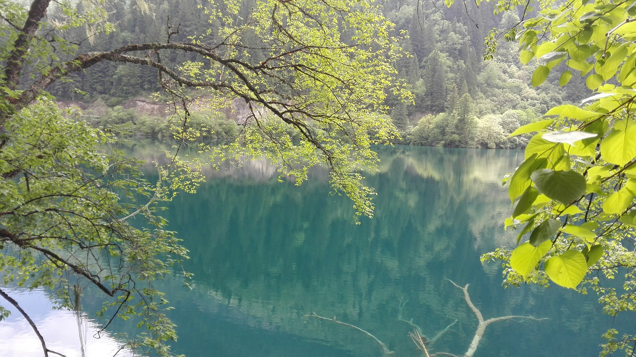 Jiuzhaigou, Povas Ežeras, Sichuanas, Nemokamos Nuotraukos,  Nemokama Licenzija