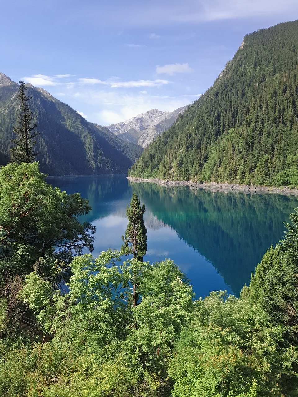 Jiuzhaigou, Ramybės Jūra, Kraštovaizdis, Vanduo, Gamta, Ežeras, Lazdynas, Mėlynas Dangus, Nemokamos Nuotraukos,  Nemokama Licenzija