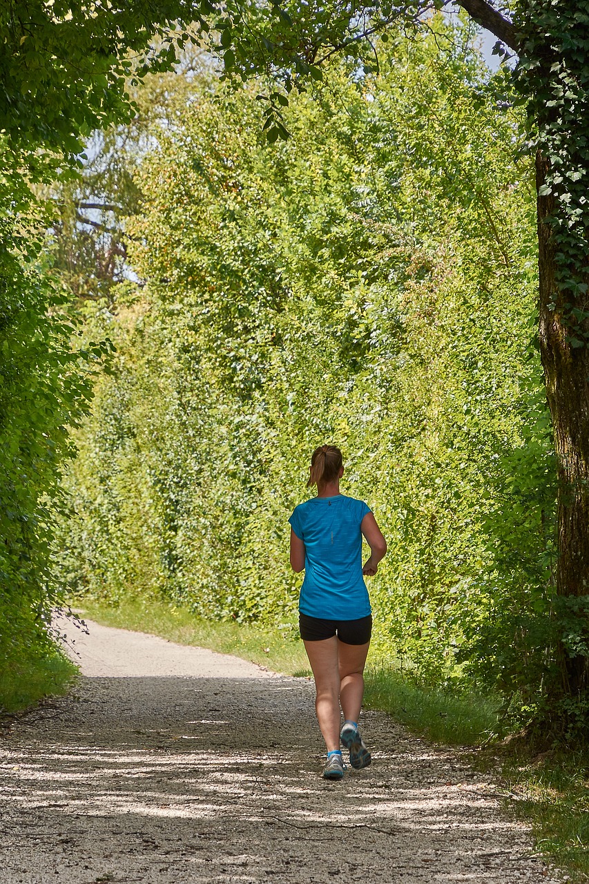 Jog, Sportas, Paleisti, Sportiškas, Laisvalaikis, Jogger, Į Sveikatą, Ruduo, Nuostabi Diena, Mokymas