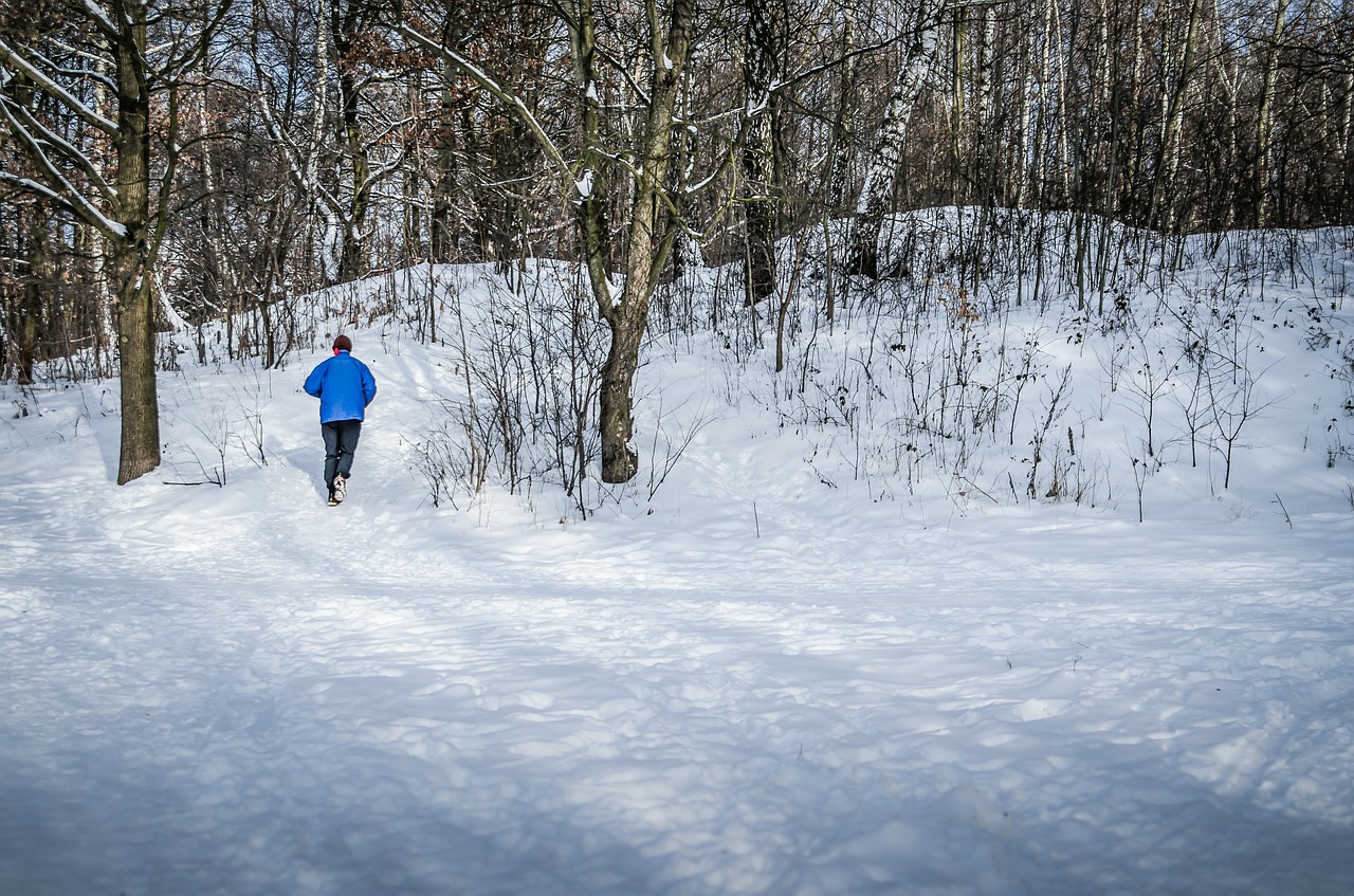 Bėgiojimas, Žiema, Sniegas, Medis, Gamta, Nemokamos Nuotraukos,  Nemokama Licenzija