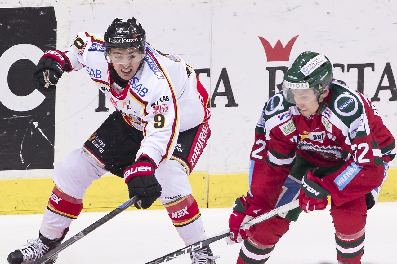 Lucas, Sportas, Johan F, Luke B, Frölunda, Luleå, Nemokamos Nuotraukos,  Nemokama Licenzija