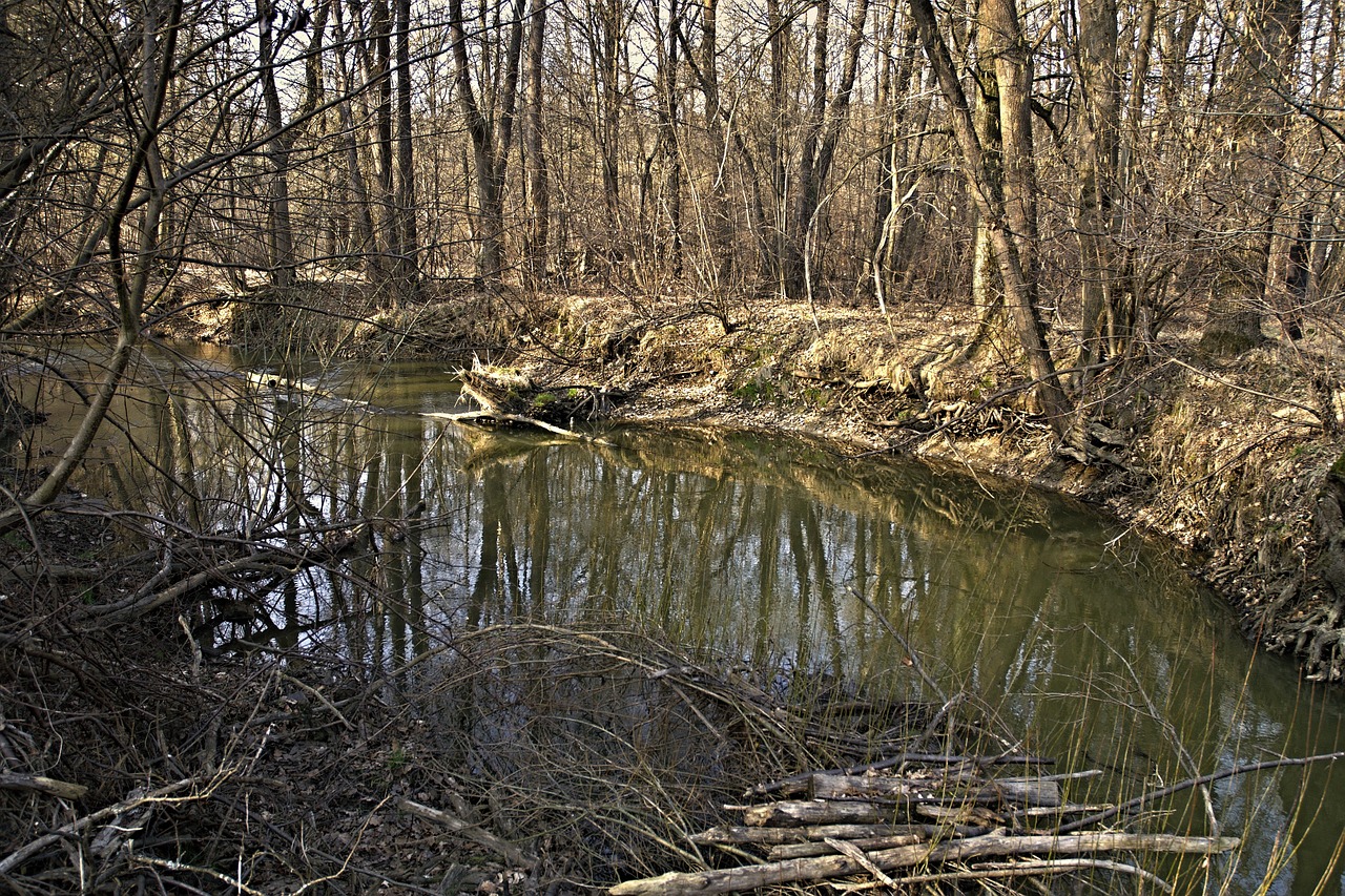 Sijonas, Staříč, Borovany, Upė, Malūne, Pietų Bohēma, Upės Baseinas, Vanduo, Medžiai, Bankas