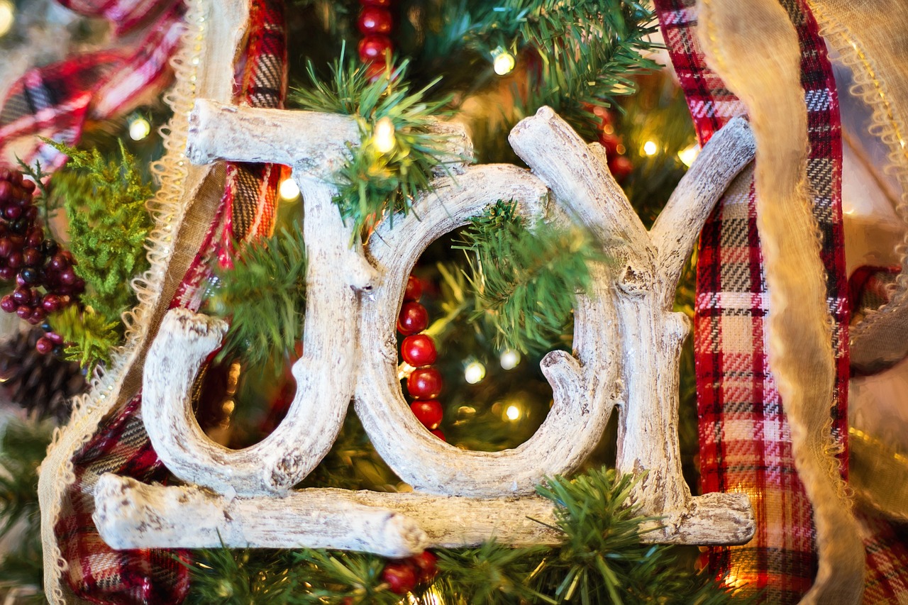 Džiaugsmas, Kalėdinis Ornamentas, Kalėdos, Medis, Šventė, Dekoratyvinis, Papuoštas, Sezoninis, Šventinis, Nemokamos Nuotraukos