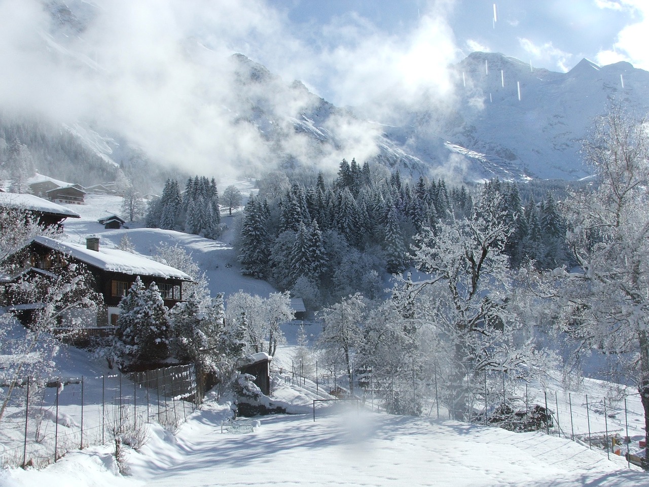Jungfrau, Žiema, Dienos Šviesos Vaizdas, Nemokamos Nuotraukos,  Nemokama Licenzija
