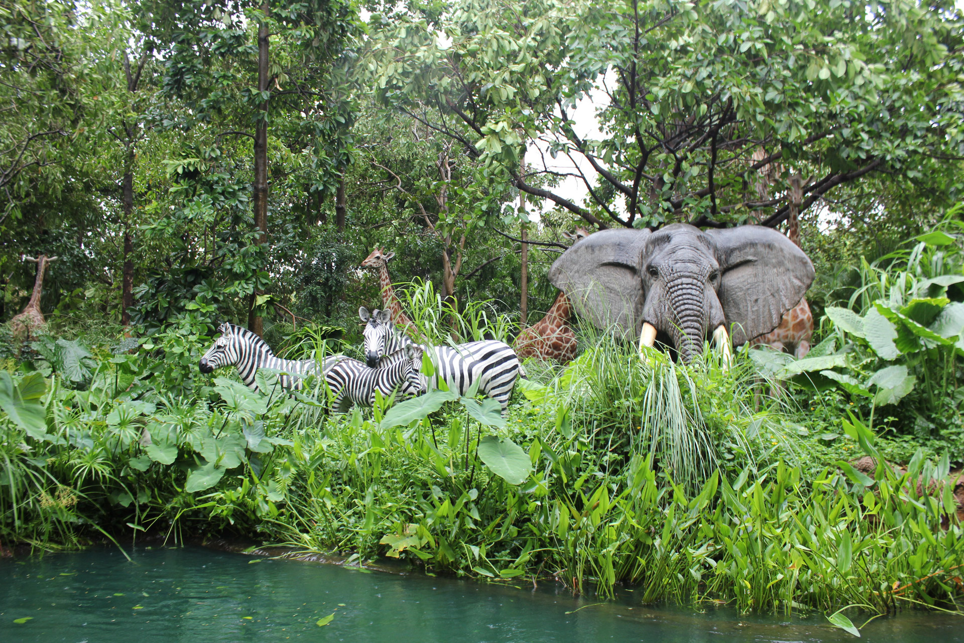 Džiunglės,  Gyvūnai,  Zebra,  Drambliai,  Žolė,  Augalai,  Upė,  Vanduo,  Miškas,  Džiunglės
