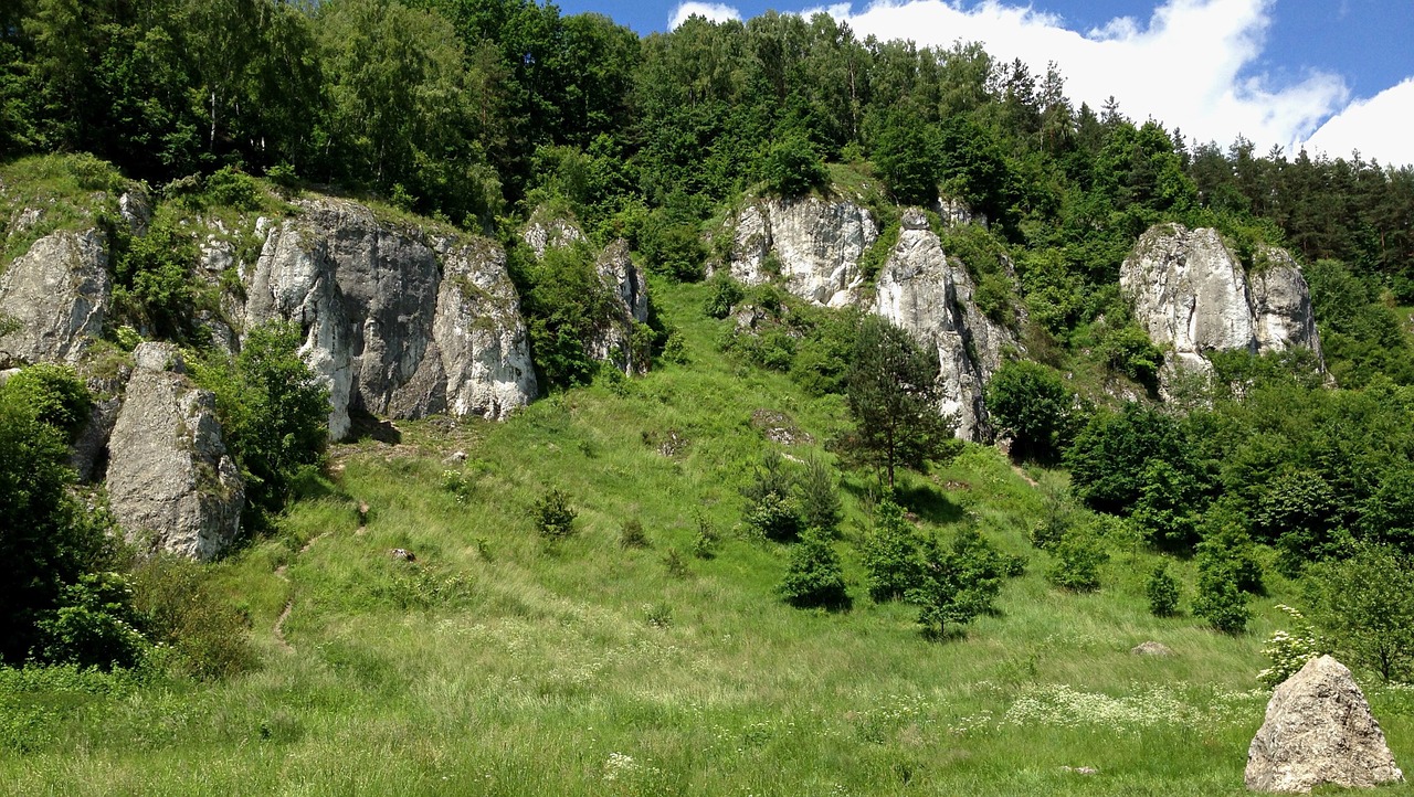 Jura Krakowsko Częstochowa, Akmenys, Lenkija, Kraštovaizdis, Gamta, Turizmas, Kalkakmeniai, Nemokamos Nuotraukos,  Nemokama Licenzija