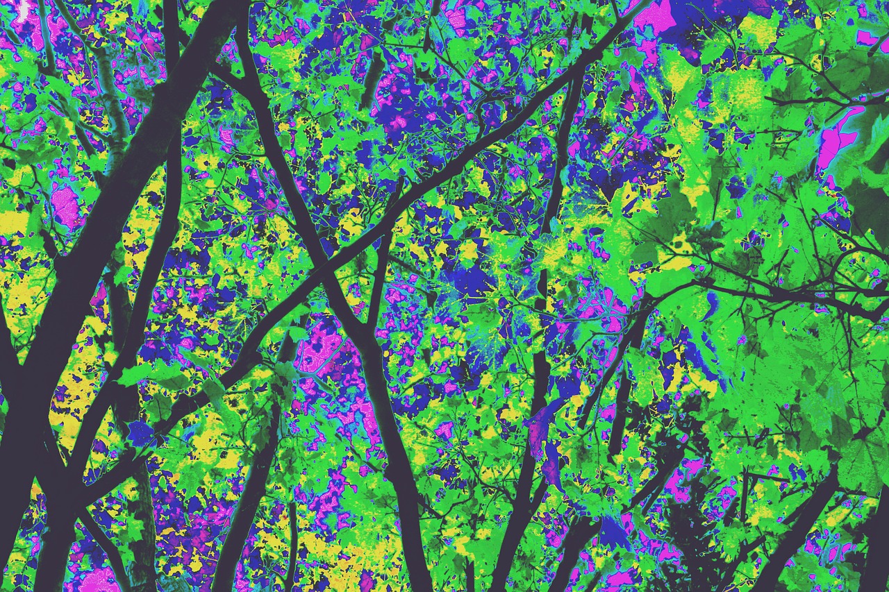 Kaleidoskopas, Medžiai, Žalias, Nemokamos Nuotraukos,  Nemokama Licenzija