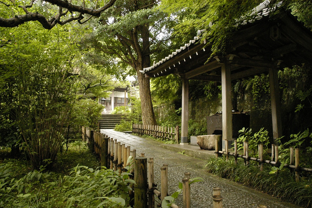 Kamakura, Natūralus, Šventykla, Ankokuron-Ji, Augalas, Vasara, Saunus, Tankus, Atspalvis, Nemokamos Nuotraukos