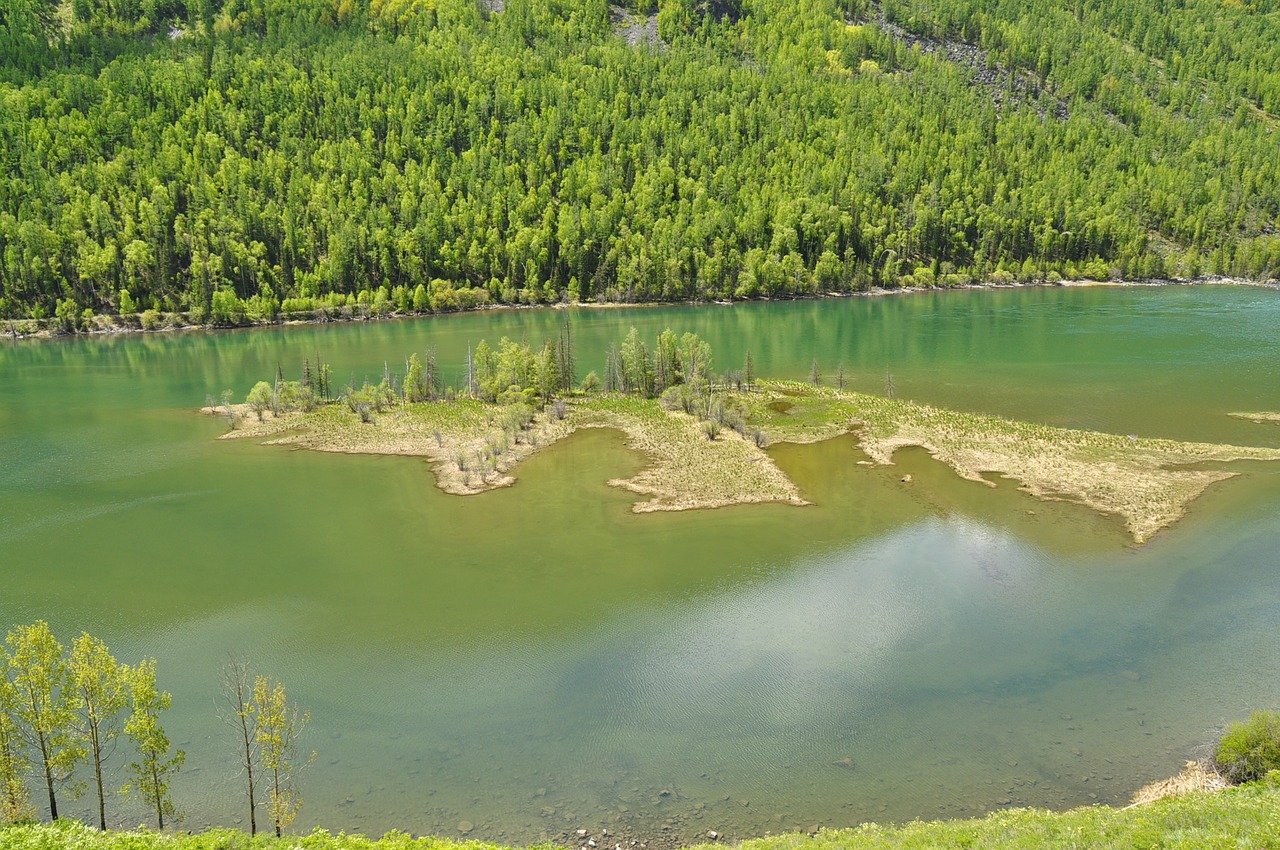 Kanas, Lakefront, Natūralus, Žalias, Diena, Kraštovaizdis, Nemokamos Nuotraukos,  Nemokama Licenzija