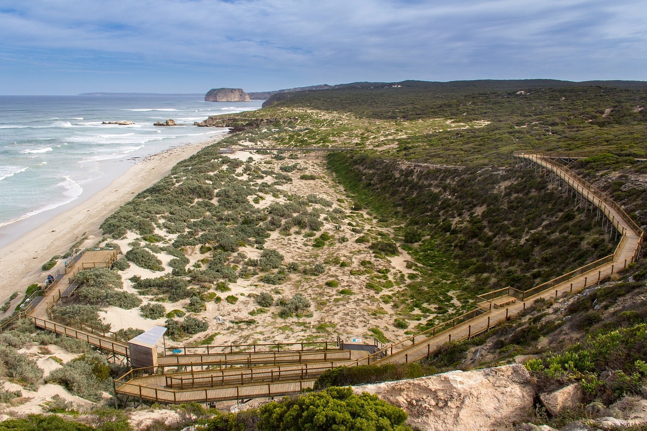 Kangaroo Sala, Ruonių Įlanka, Į Pietus, Australia, Kranto, Gyvūnas, Nemokamos Nuotraukos,  Nemokama Licenzija