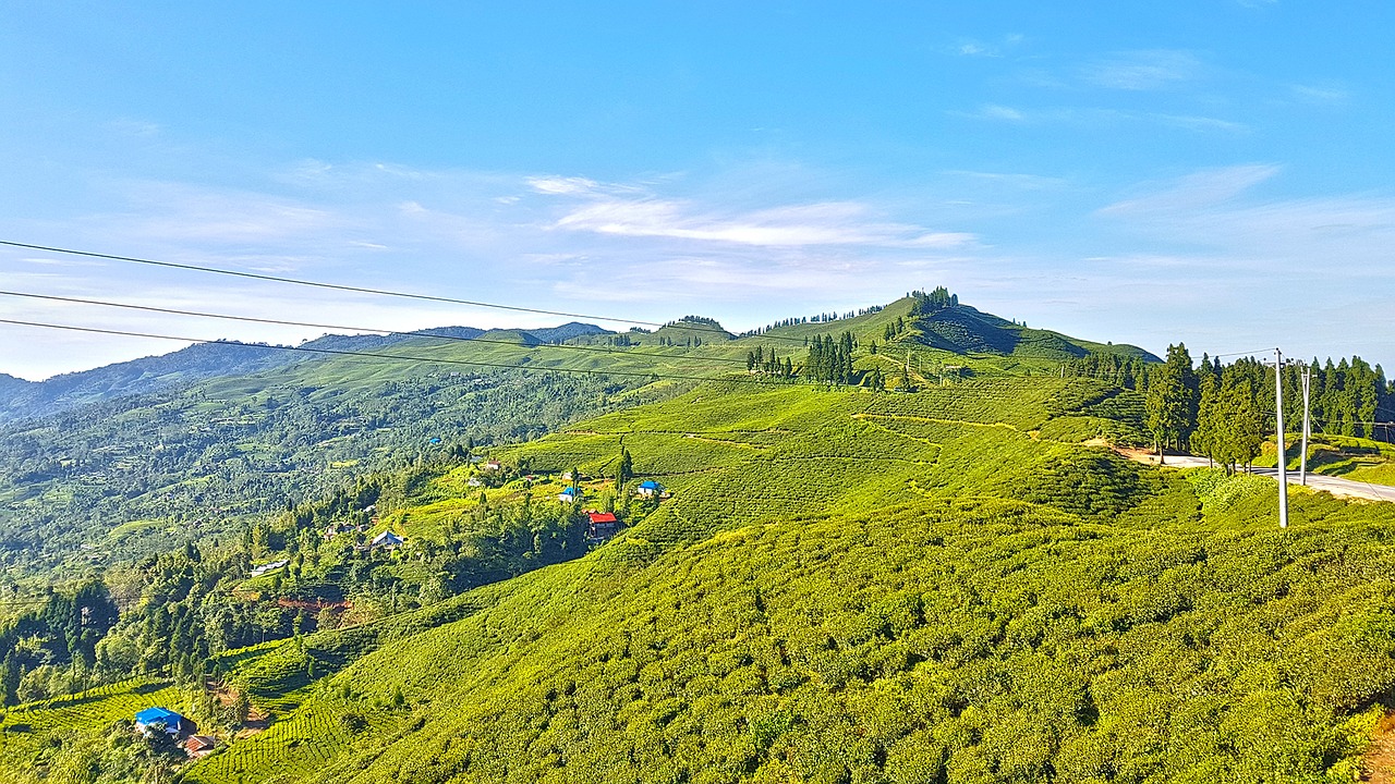 Kanyam, Ilam, Nepalas, Rojus Žemėje, Mechi, Greitkelis, Jhapa, Arbata, Sodas, Dangus