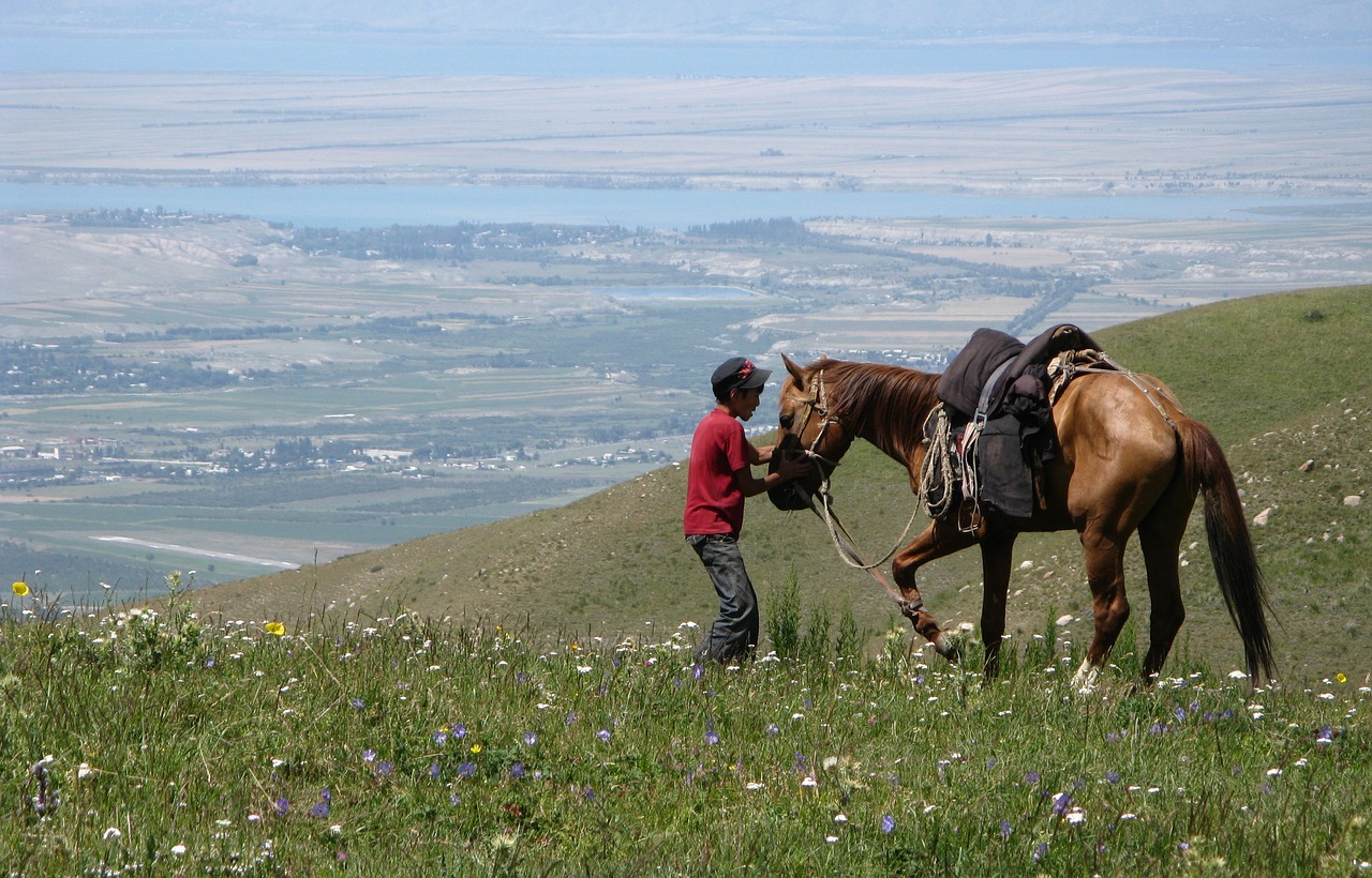 Karakol, Kirgizija, Arklys, Gamta, Gyvūnas, Važiuoti, Arkliai, Pieva, Transplantantas, Grožis