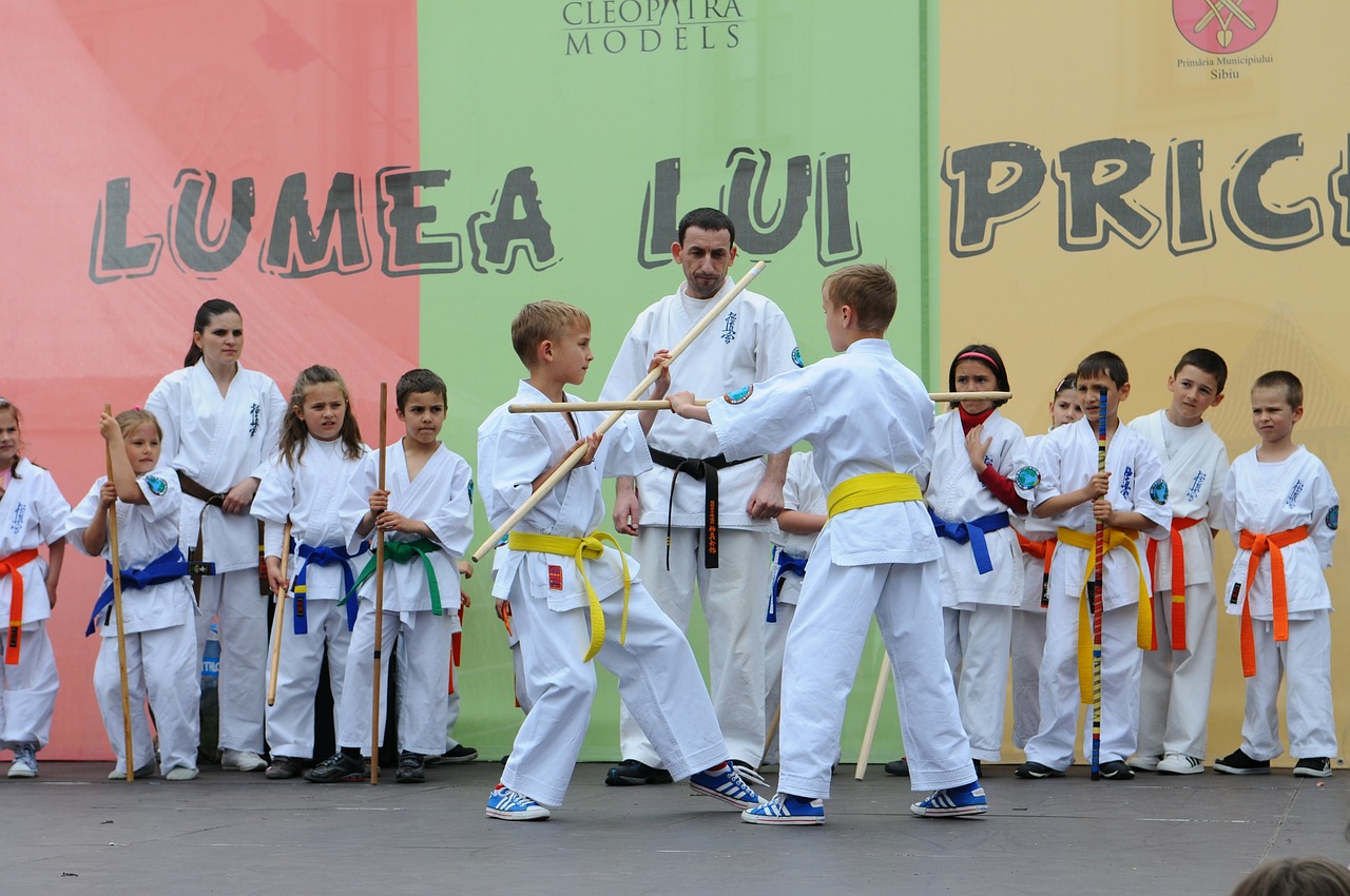 Karatė, Kovų Menai, Vaikai, Etapas, Kovoti, Pratimas, Kovinis, Japanese, Sportas, Kyokushin