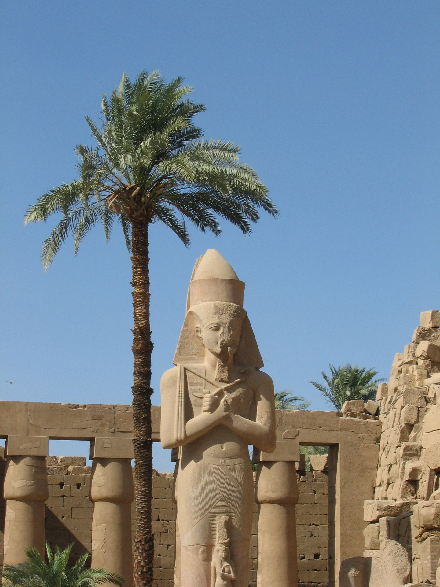 Hieroglifai,  Egiptas,  Paminklas,  Stulpelis,  Luxor,  Karnak & Nbsp,  Šventykla,  Palmių & Nbsp,  Medis,  Saulė