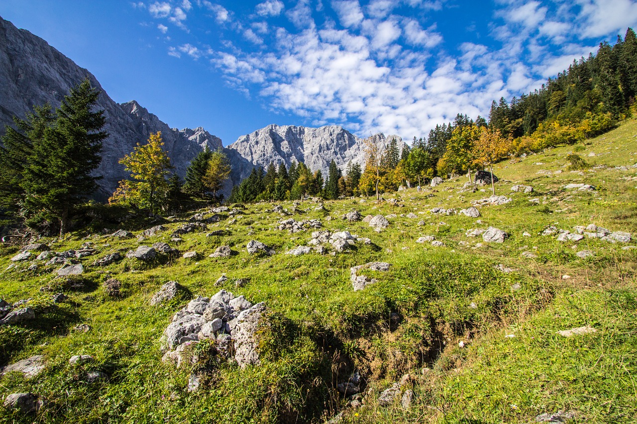 Karwendel, Tyrol, Austria, Kalnai, Pieva, Steinig, Gamta, Kraštovaizdis, Žygiai, Šventė
