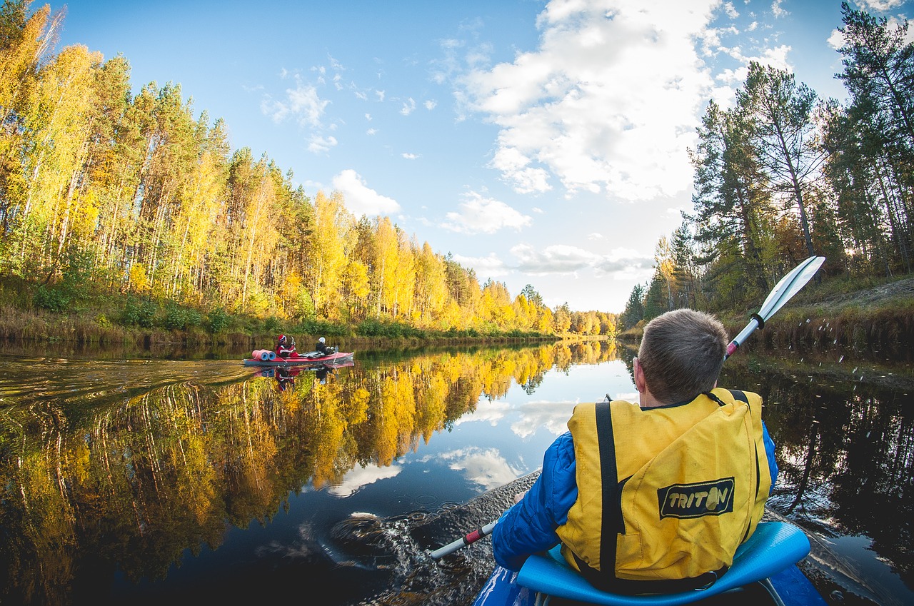 Baidarių, Miškas, Upių Turizmas, Kempingas, Irklas, Nemokamos Nuotraukos,  Nemokama Licenzija