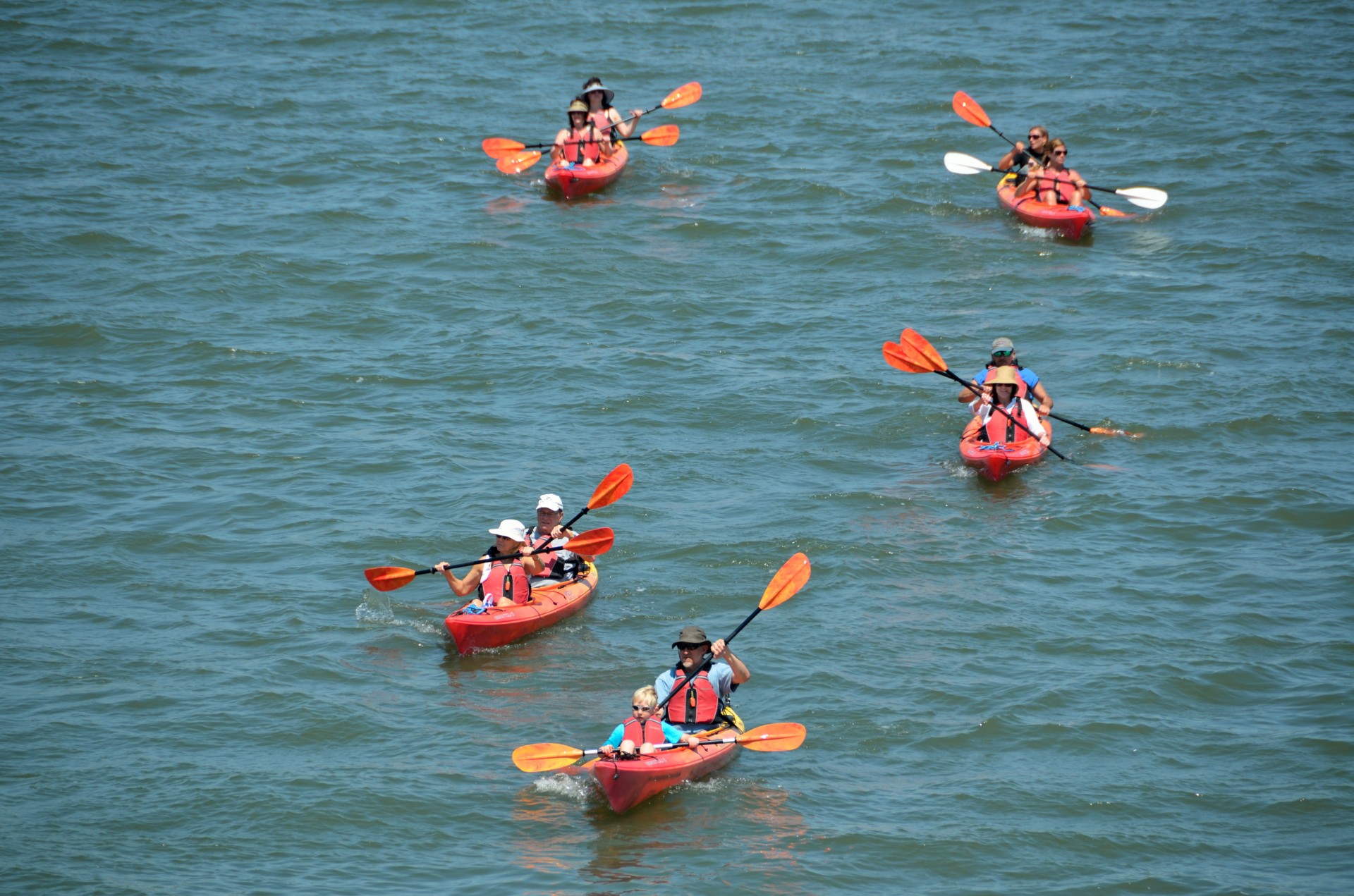 Kayakers,  Baidarių,  Florida,  Upė,  Vanduo,  Lauke,  Laisvalaikis,  Poilsis,  Hobis,  Sportas
