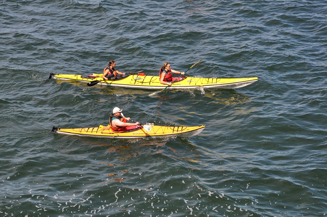 Baidarės, Kayakers, Sportas, Baidarių, Poilsis, Vandens Sportas, Valtis, Veikla, Irklas, Kardio