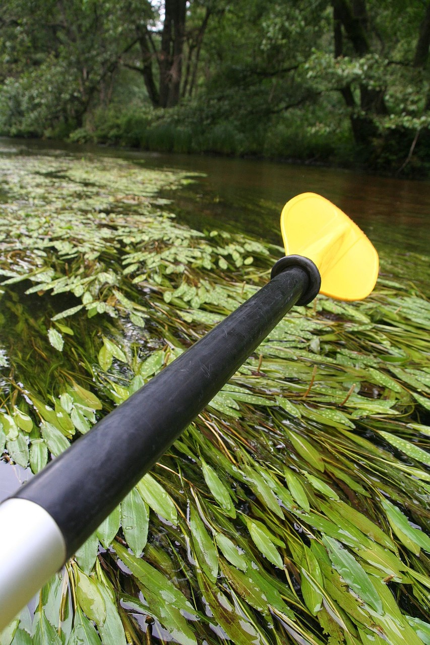 Baidarės, Rafting, Upė, Kajakować, Lenkija, Turizmas, Irklas, Nemokamos Nuotraukos,  Nemokama Licenzija