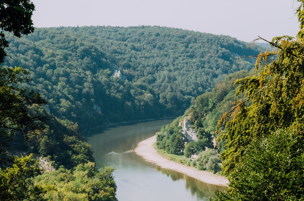 Kelheim,  Bavarija,  Niederbayern,  Vasara,  Vokietija,  Dunojaus,  Upė,  Vandenys,  Miškas,  Medžiai