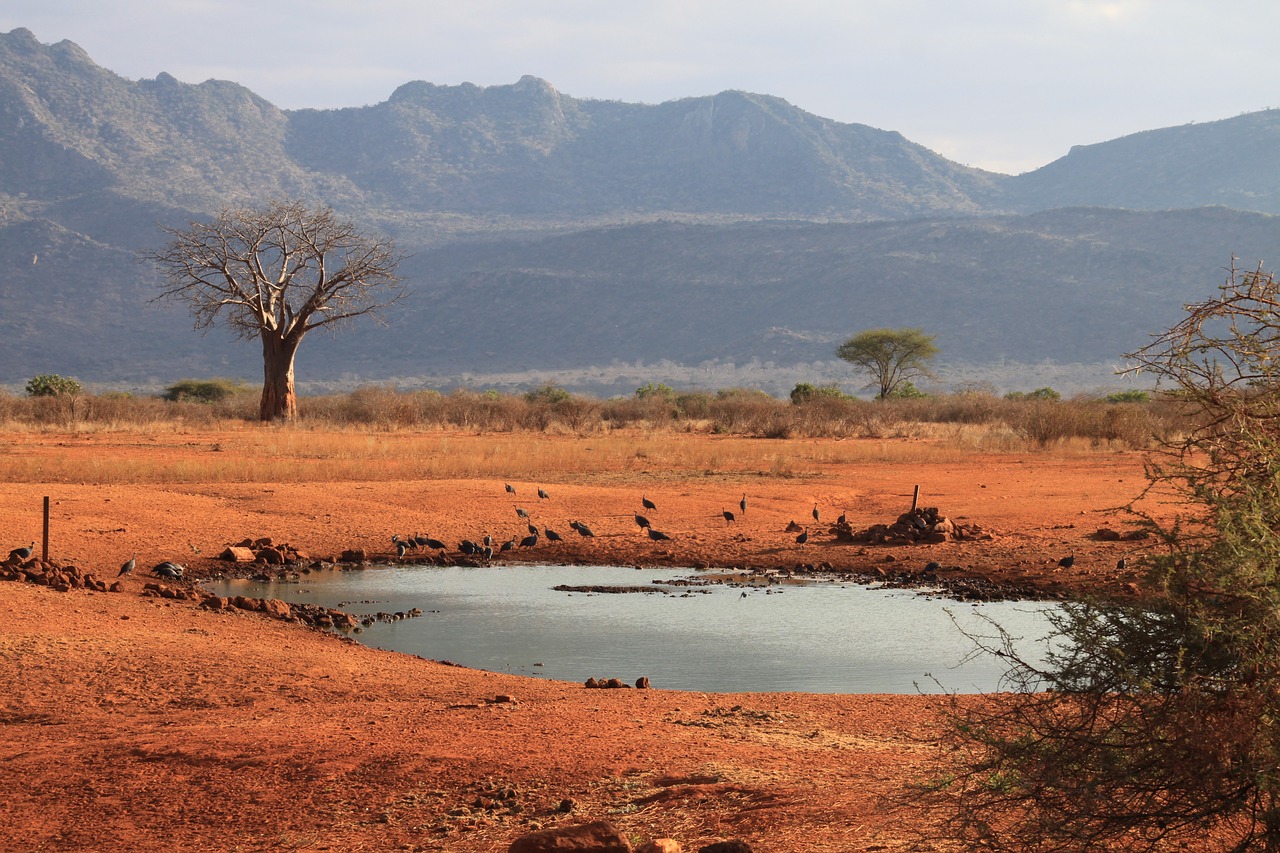 Kenya, Tsavo Vakarai, Vandens Skylė, Nemokamos Nuotraukos,  Nemokama Licenzija