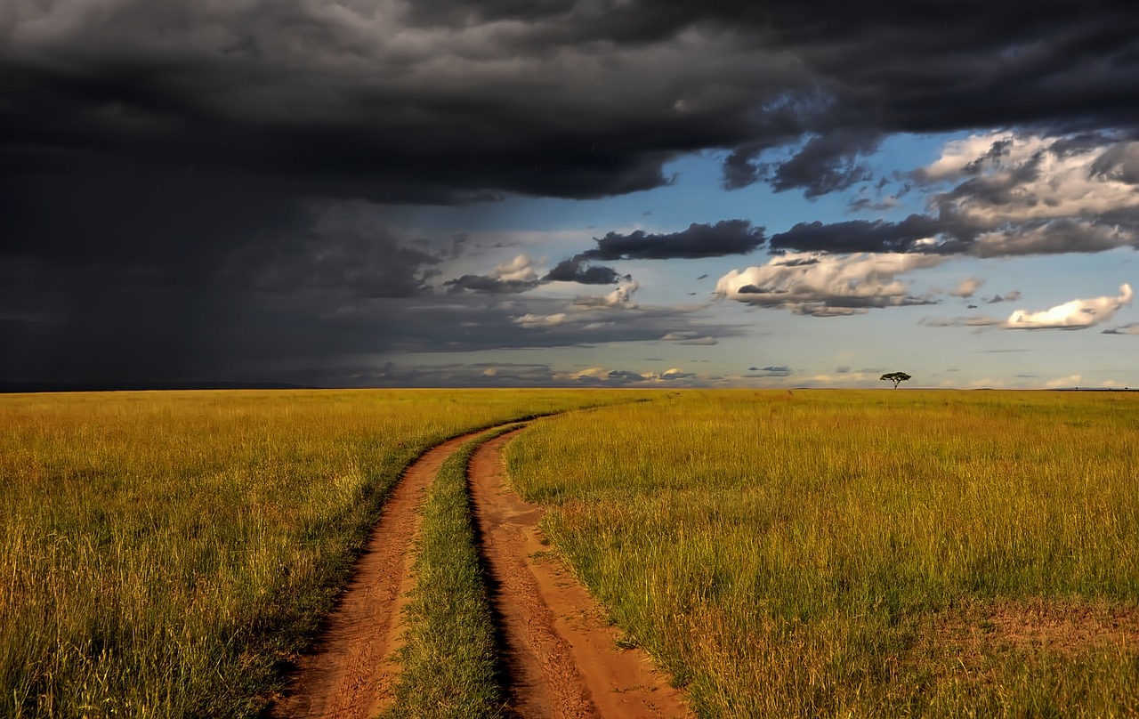 Kenya, Afrika, Kraštovaizdis, Dangus, Debesys, Saulėlydis, Dusk, Gamta, Lauke, Šalis