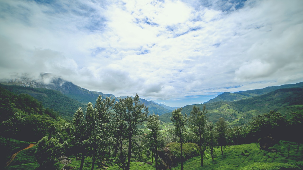 Kerala, Gamta, Žalias, Kraštovaizdis, Munnar, Peizažas, Kalnas, Lauke, Kelionė, Nemokamos Nuotraukos