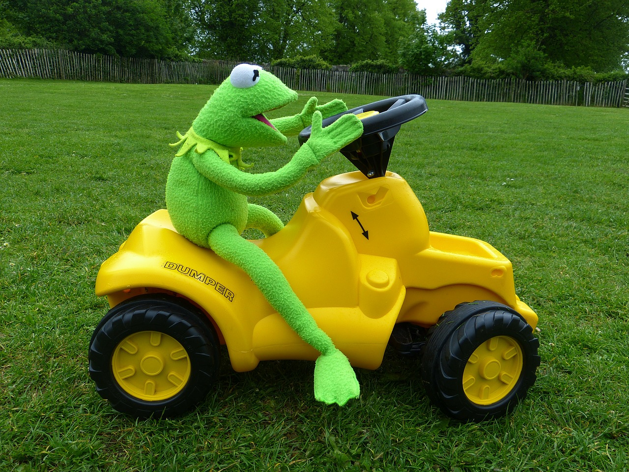 Kermit, Varlė, Žalias, Vilkikas, Vairuoti, Linksma, Nemokamos Nuotraukos,  Nemokama Licenzija