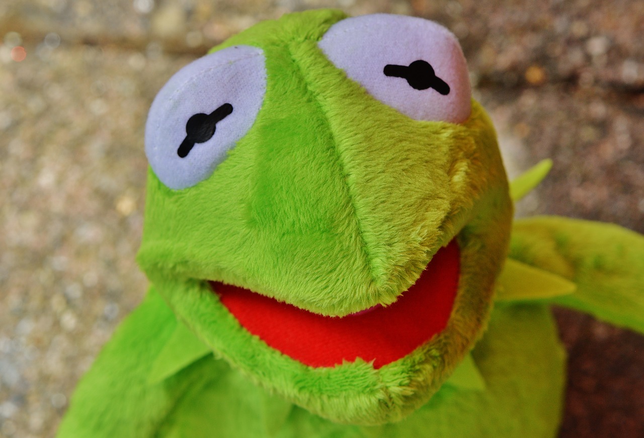 Kermit, Varlė, Figūra, Juokinga, Varlės, Gyvūnas, Pliušas, Iškamša, Nemokamos Nuotraukos,  Nemokama Licenzija