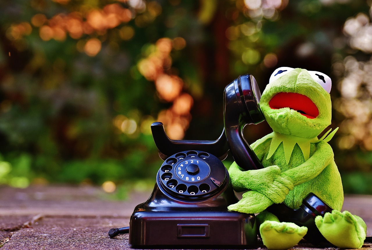 Kermit, Varlė, Telefonas, Figūra, Juokinga, Varlės, Gyvūnas, Pliušas, Iškamša, Nemokamos Nuotraukos